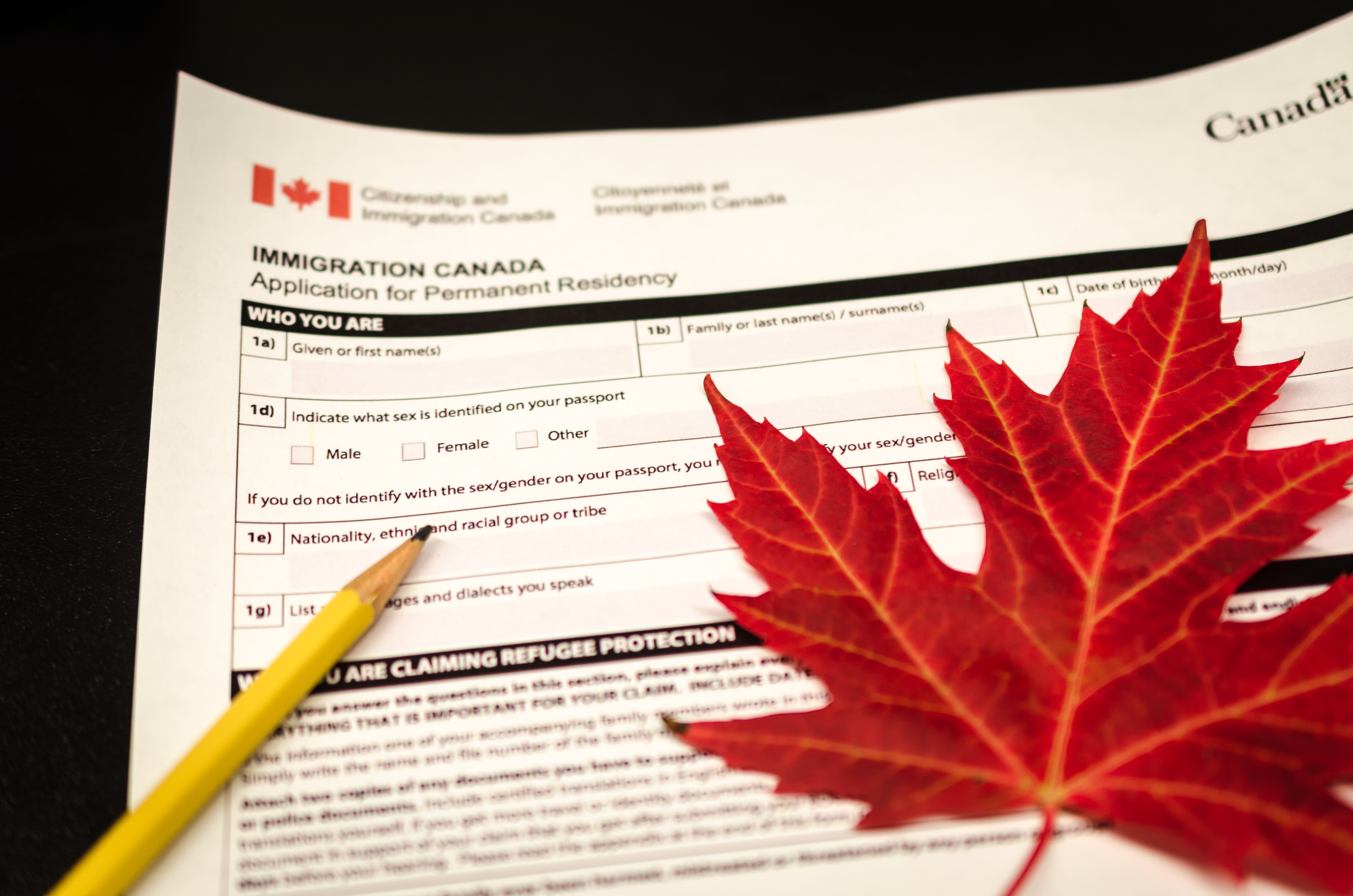 A Newcomer's Journey: Life in Canada