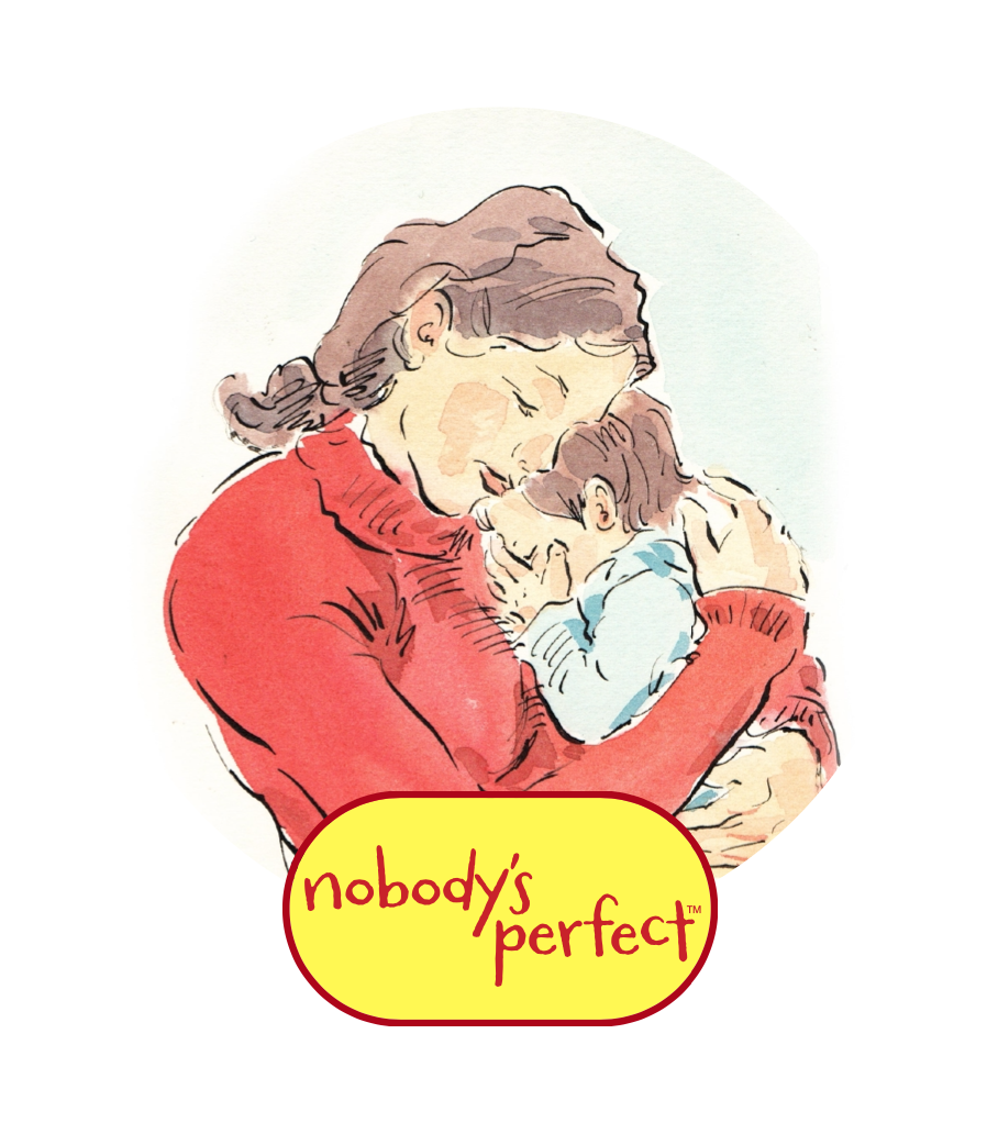 Nobody’s Perfect Parenting Program – Virtual Training Project